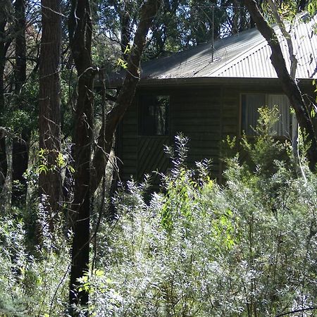 Twin Falls Bush Cottages Fitzroy Falls Eksteriør bilde