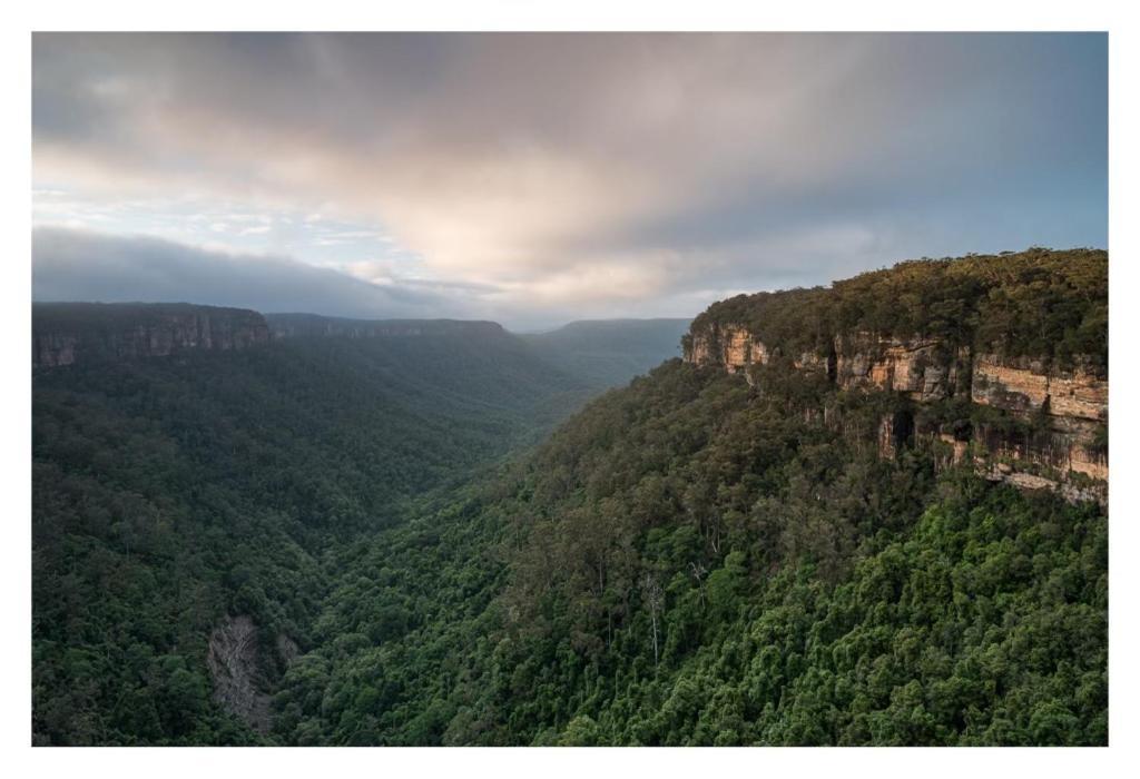 Twin Falls Bush Cottages Fitzroy Falls Eksteriør bilde