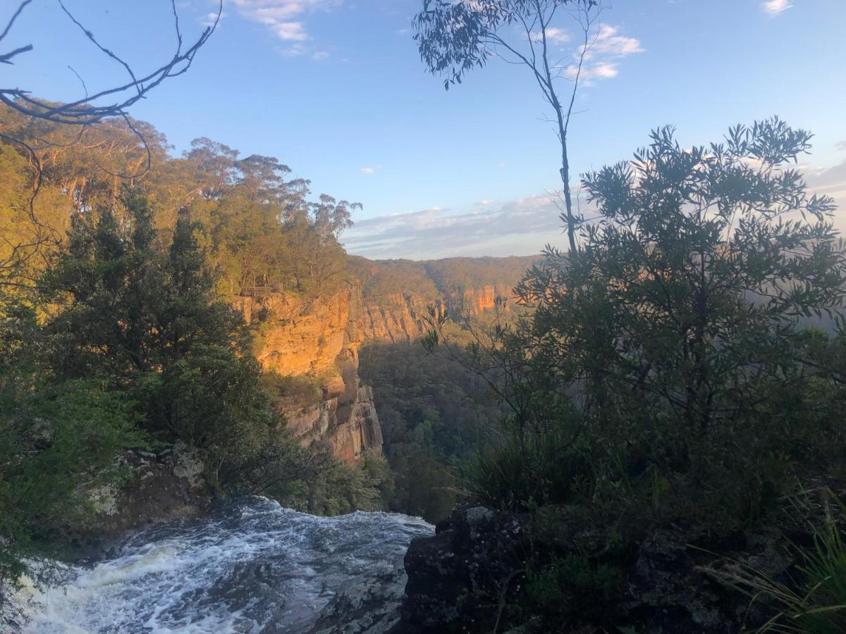 Twin Falls Bush Cottages Fitzroy Falls Eksteriør bilde