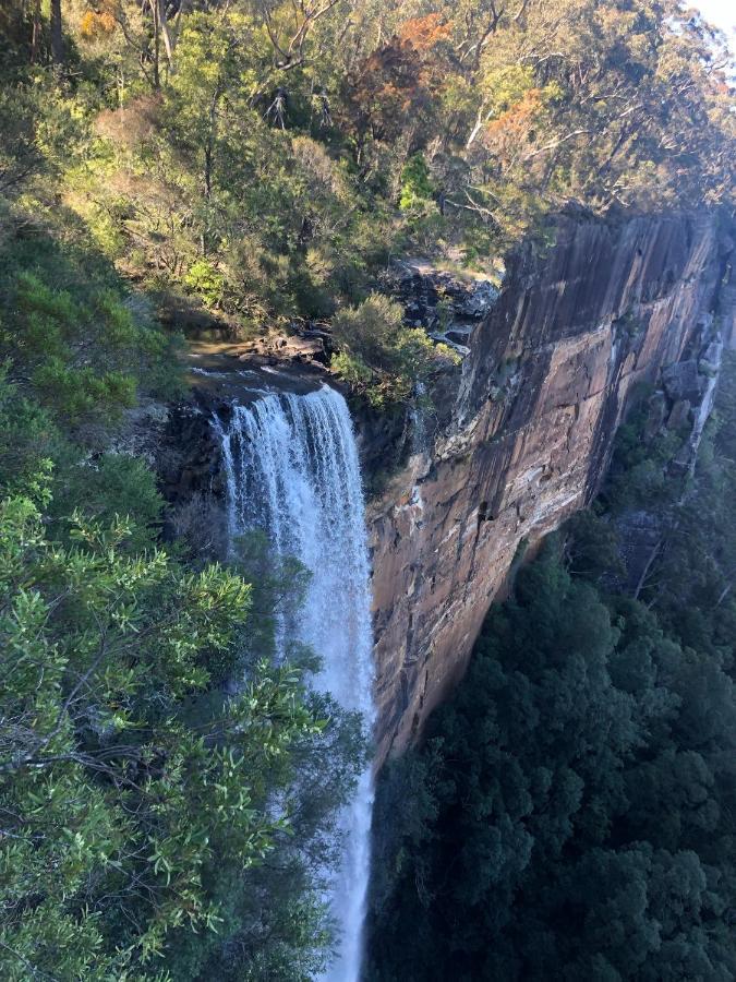 Twin Falls Bush Cottages Fitzroy Falls Eksteriør bilde