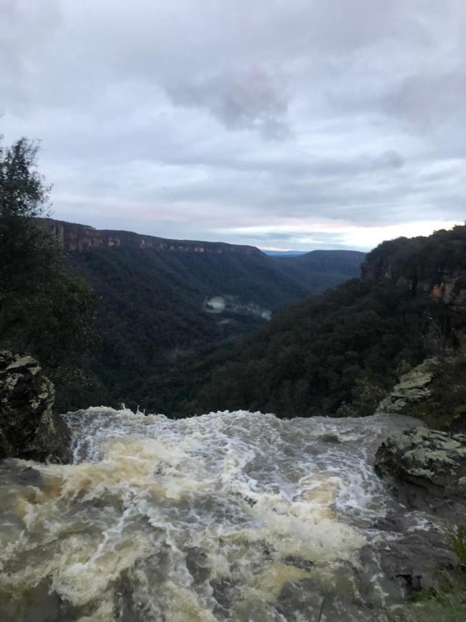 Twin Falls Bush Cottages Fitzroy Falls Eksteriør bilde