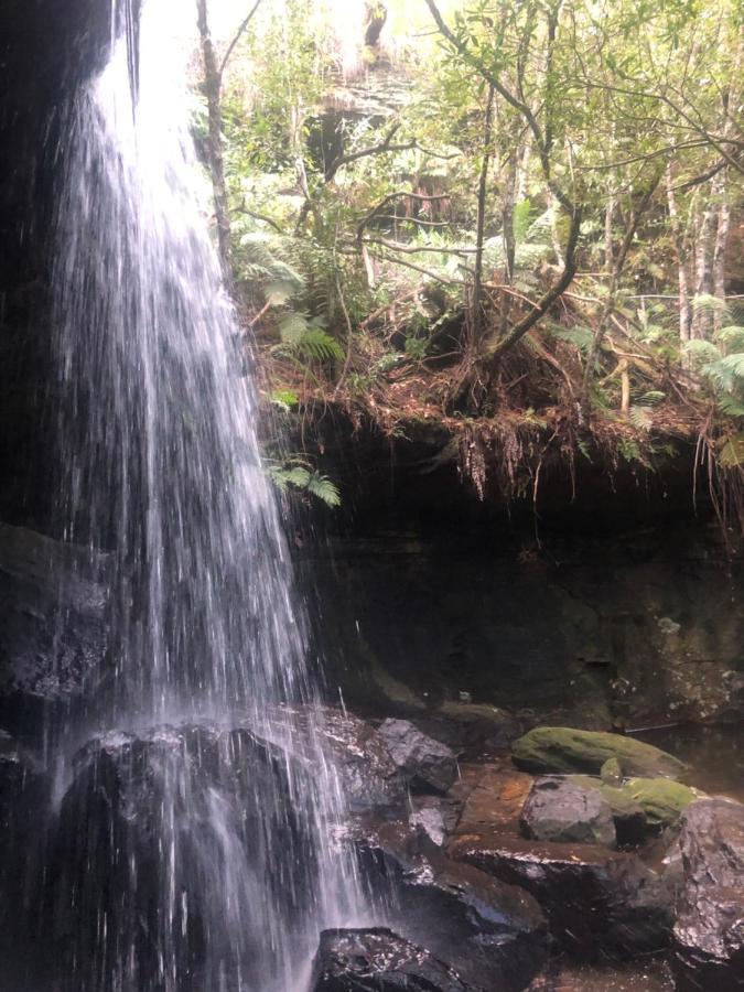Twin Falls Bush Cottages Fitzroy Falls Eksteriør bilde