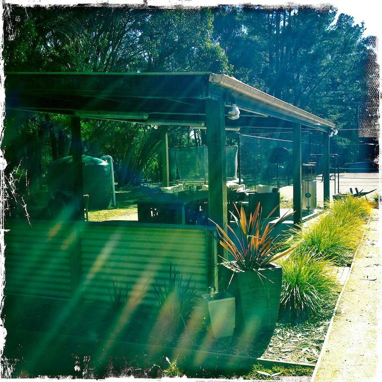Twin Falls Bush Cottages Fitzroy Falls Rom bilde