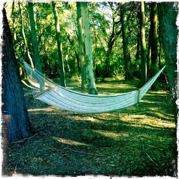 Twin Falls Bush Cottages Fitzroy Falls Rom bilde