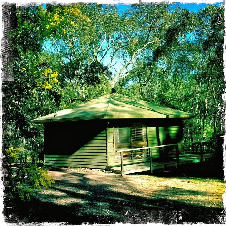 Twin Falls Bush Cottages Fitzroy Falls Rom bilde