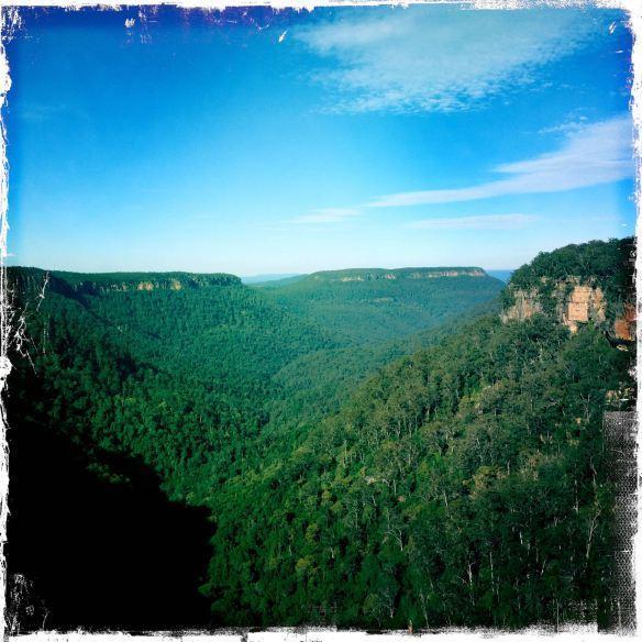 Twin Falls Bush Cottages Fitzroy Falls Rom bilde