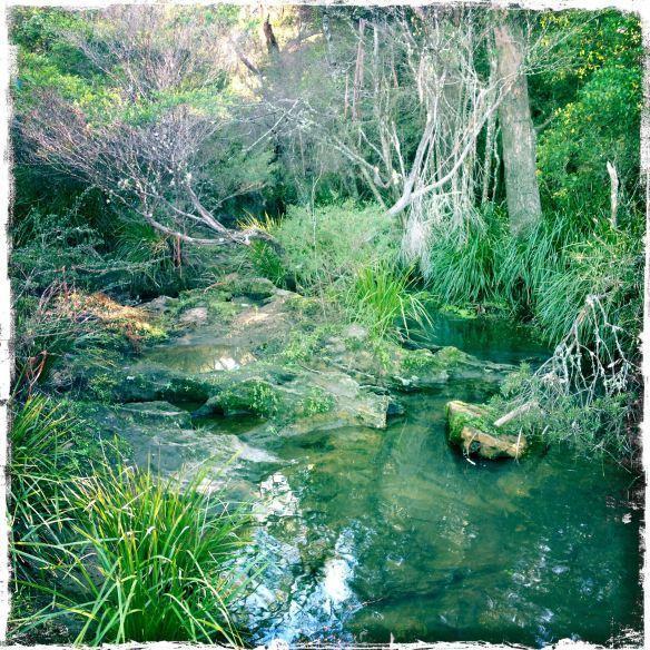 Twin Falls Bush Cottages Fitzroy Falls Rom bilde