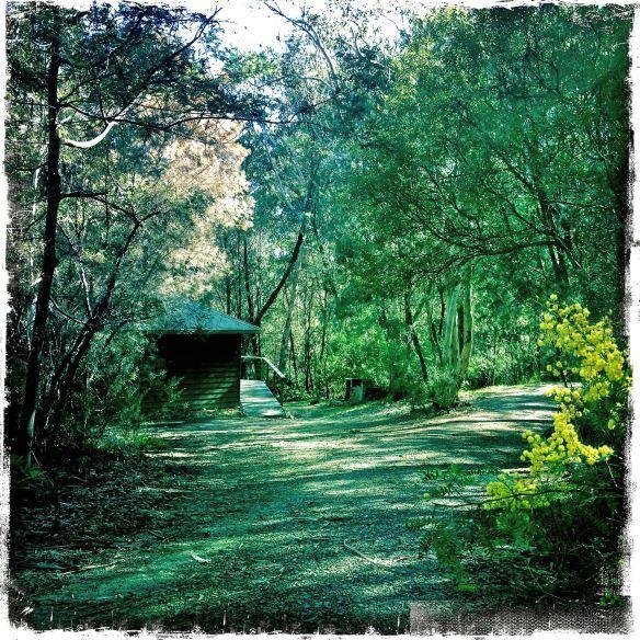 Twin Falls Bush Cottages Fitzroy Falls Rom bilde