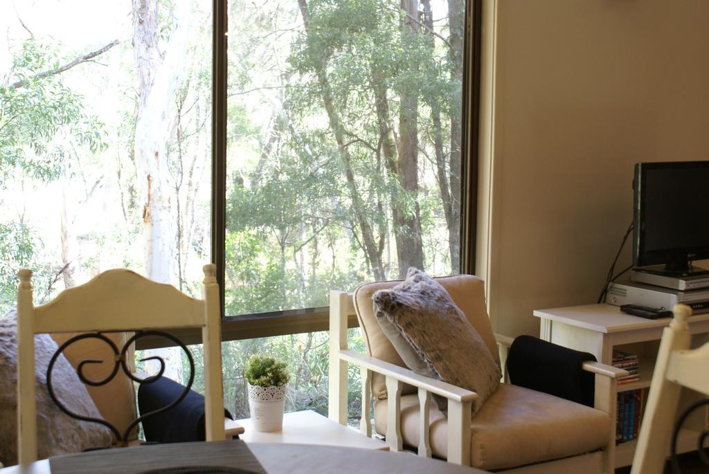 Twin Falls Bush Cottages Fitzroy Falls Eksteriør bilde