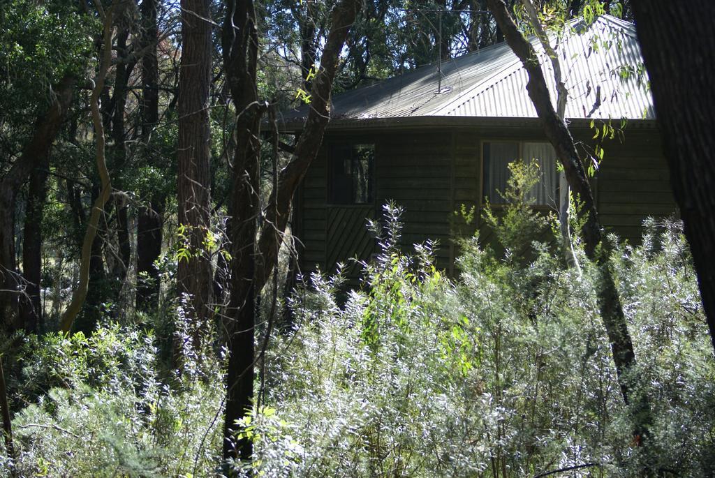 Twin Falls Bush Cottages Fitzroy Falls Eksteriør bilde