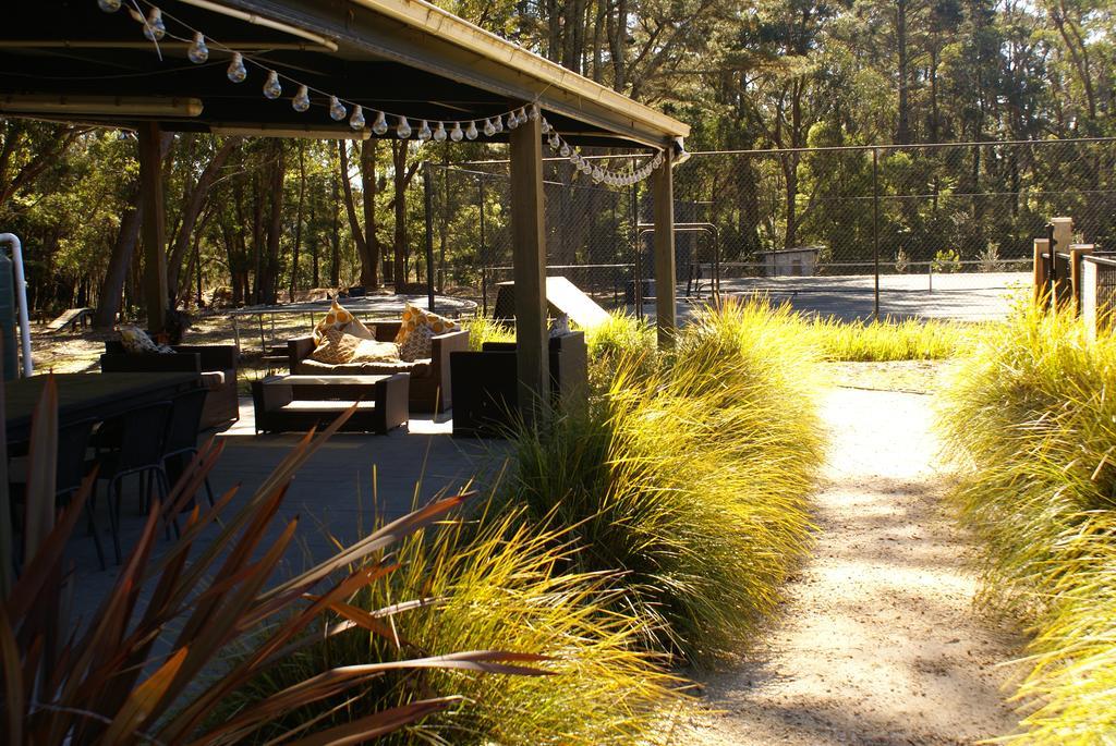 Twin Falls Bush Cottages Fitzroy Falls Eksteriør bilde