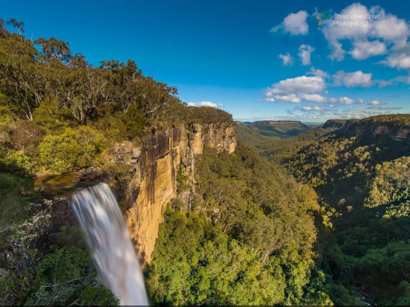 Twin Falls Bush Cottages Fitzroy Falls Eksteriør bilde