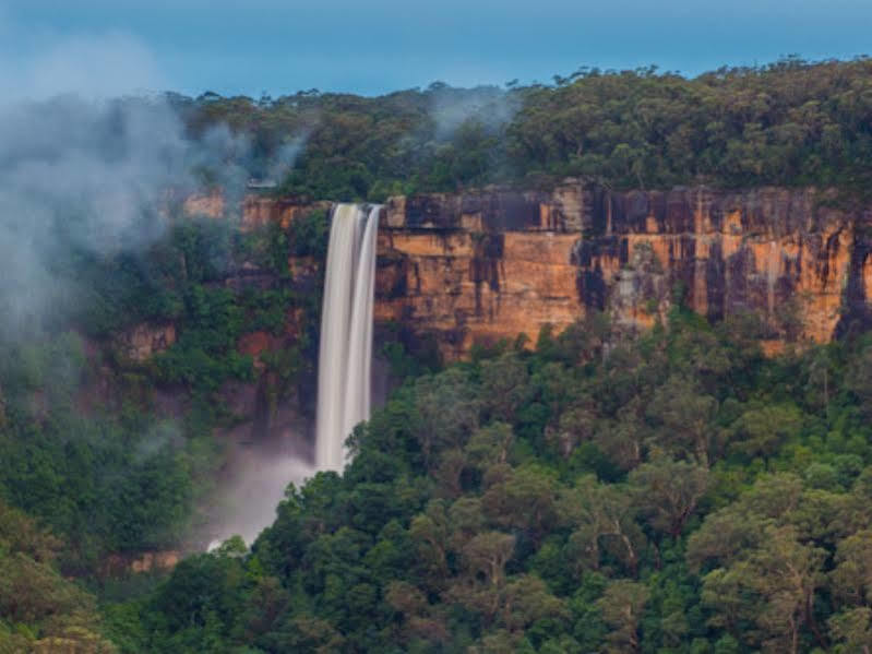 Twin Falls Bush Cottages Fitzroy Falls Eksteriør bilde